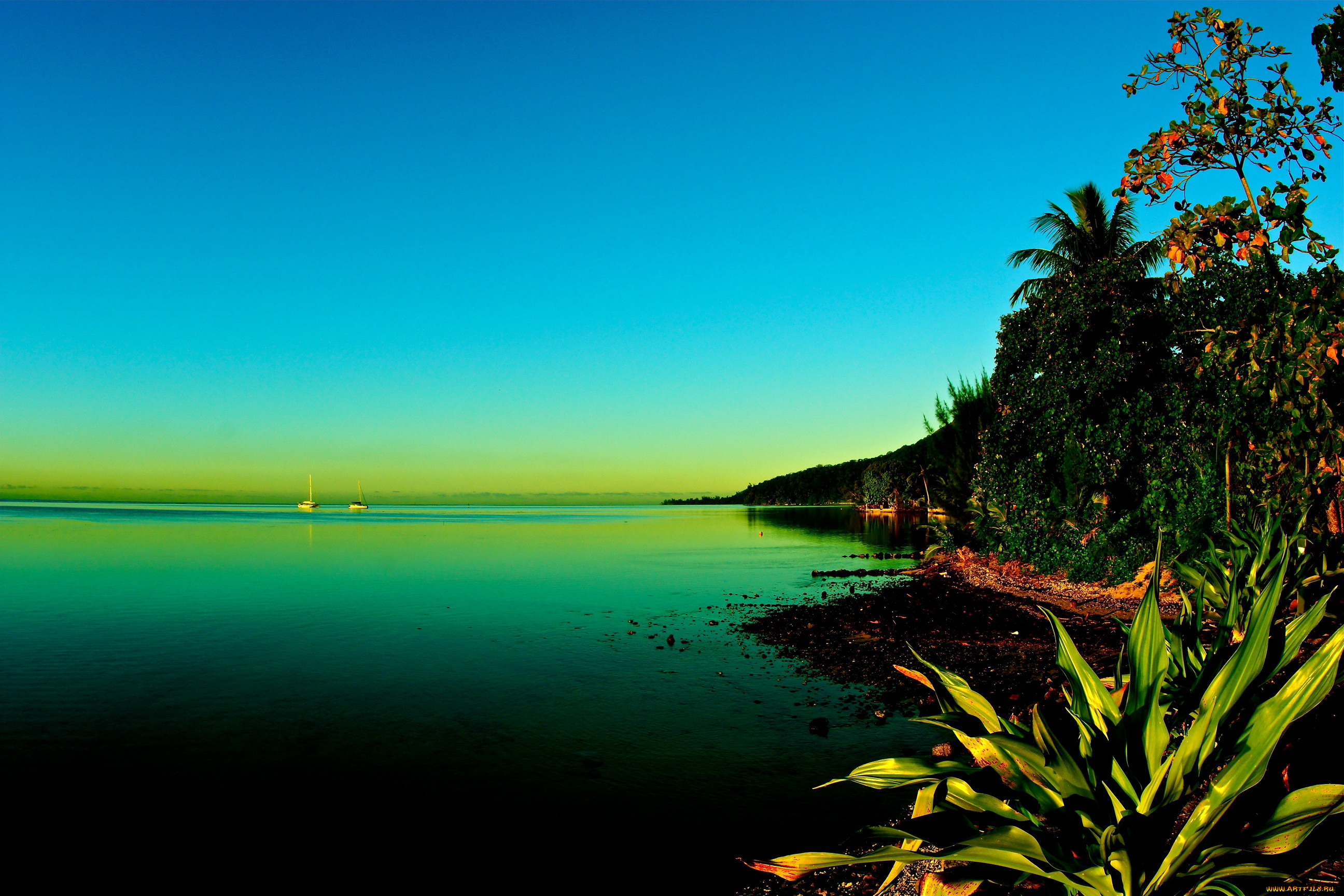 moorea, french, polynesia, , , , , , 